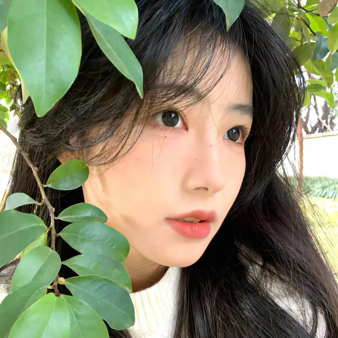 进入动漫世界