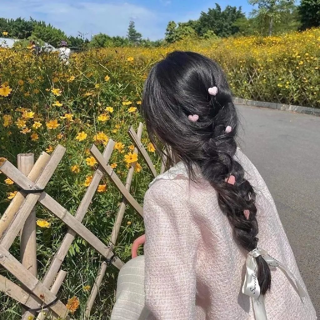 我的情敌女婿